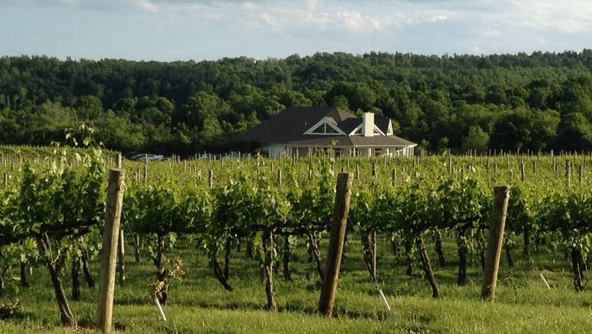 Pollak Vineyards