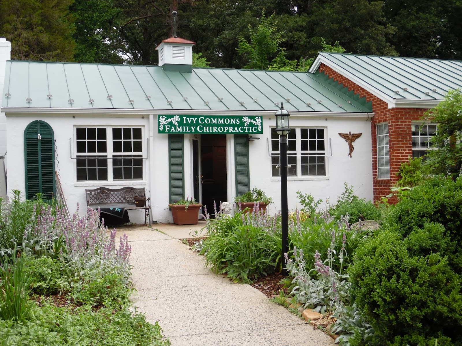 Ivy Commons Family Chiropractic