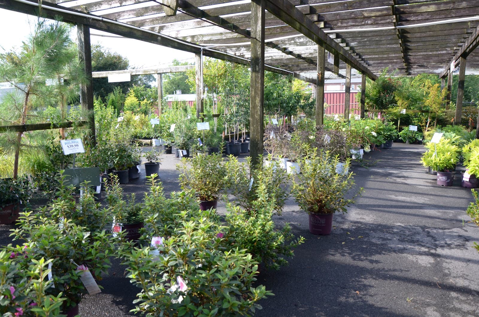 Blue Ridge Farmers Coop